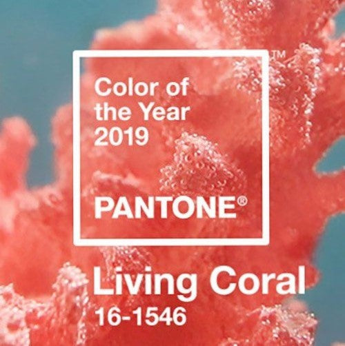 2019 Patone Color of the Year